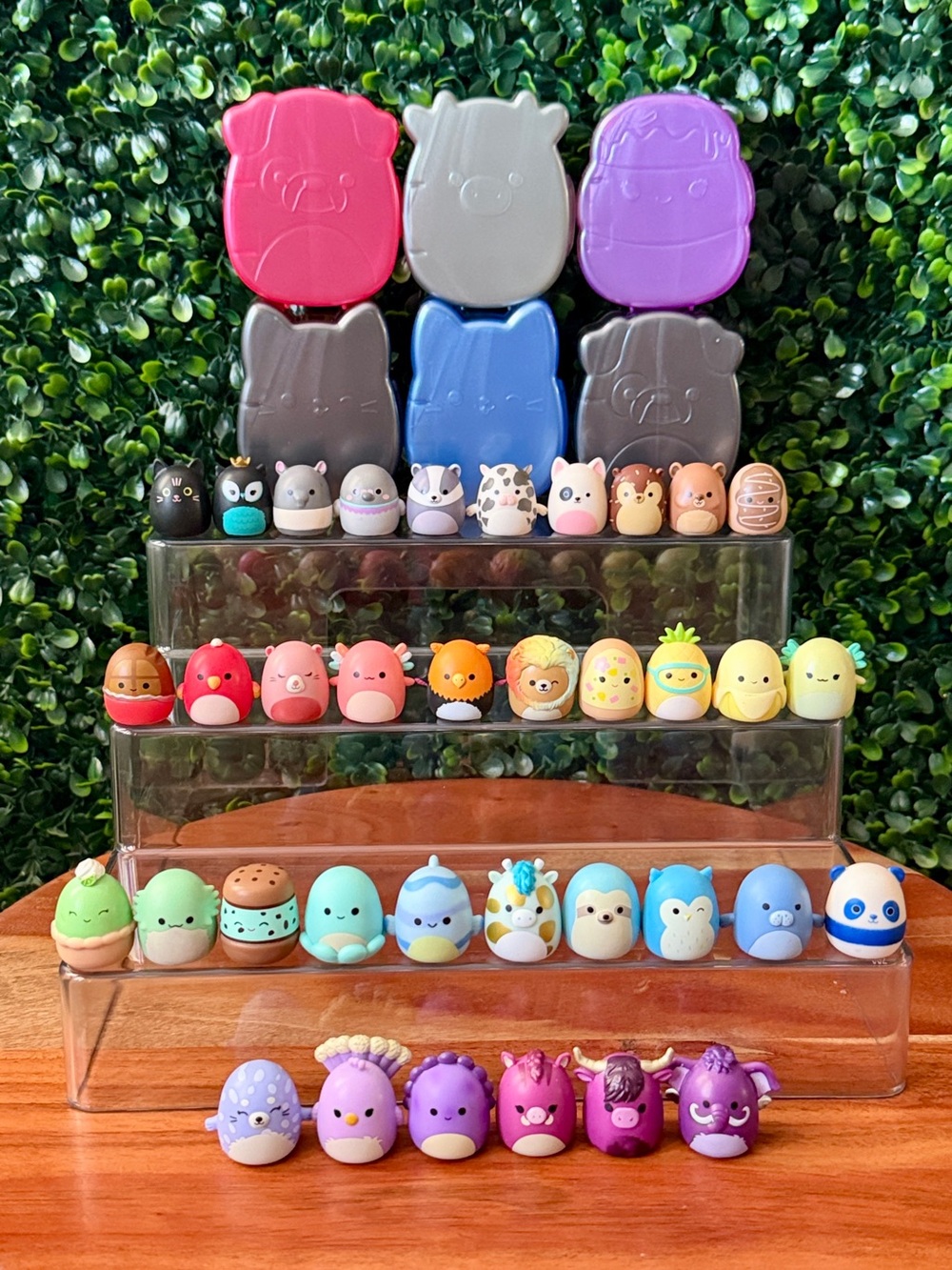 Squish-a-longs Bundle